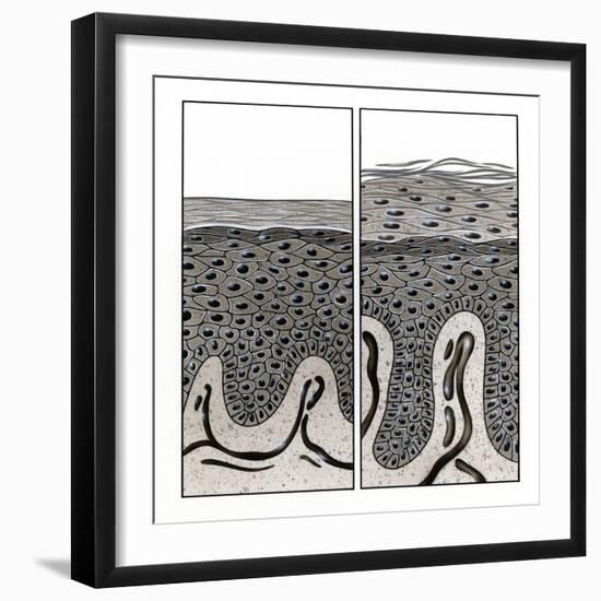 Scaly Skin-John Bavosi-Framed Premium Photographic Print