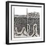 Scaly Skin-John Bavosi-Framed Premium Photographic Print