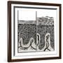 Scaly Skin-John Bavosi-Framed Photographic Print