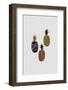 Scandi Pineapples-Orara Studio-Framed Photographic Print