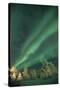 Scandinavia, Finland, Lapland, Ivalo, The Aurora borealis-Daisy Gilardini-Stretched Canvas