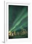 Scandinavia, Finland, Lapland, Ivalo, The Aurora borealis-Daisy Gilardini-Framed Photographic Print