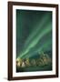 Scandinavia, Finland, Lapland, Ivalo, The Aurora borealis-Daisy Gilardini-Framed Photographic Print