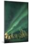 Scandinavia, Finland, Lapland, Ivalo, The Aurora borealis-Daisy Gilardini-Mounted Photographic Print