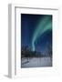 Scandinavia, Finland, Lapland, Ivalo, The Aurora borealis-Daisy Gilardini-Framed Photographic Print