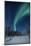 Scandinavia, Finland, Lapland, Ivalo, The Aurora borealis-Daisy Gilardini-Mounted Photographic Print