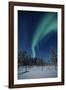 Scandinavia, Finland, Lapland, Ivalo, The Aurora borealis-Daisy Gilardini-Framed Photographic Print