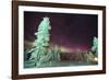 Scandinavia, Finland, Lapland, Kakslauttanen, The Aurora borealis-Daisy Gilardini-Framed Photographic Print