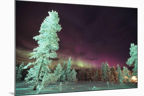 Scandinavia, Finland, Lapland, Kakslauttanen, The Aurora borealis-Daisy Gilardini-Mounted Photographic Print