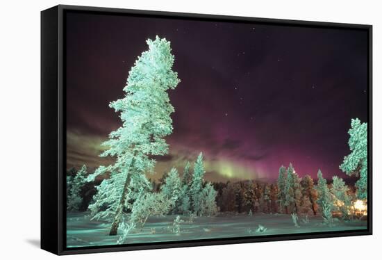 Scandinavia, Finland, Lapland, Kakslauttanen, The Aurora borealis-Daisy Gilardini-Framed Stretched Canvas