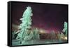 Scandinavia, Finland, Lapland, Kakslauttanen, The Aurora borealis-Daisy Gilardini-Framed Stretched Canvas