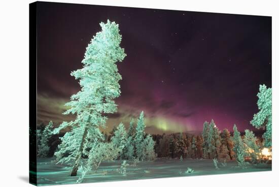 Scandinavia, Finland, Lapland, Kakslauttanen, The Aurora borealis-Daisy Gilardini-Stretched Canvas