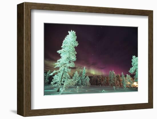 Scandinavia, Finland, Lapland, Kakslauttanen, The Aurora borealis-Daisy Gilardini-Framed Photographic Print