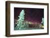 Scandinavia, Finland, Lapland, Kakslauttanen, The Aurora borealis-Daisy Gilardini-Framed Photographic Print