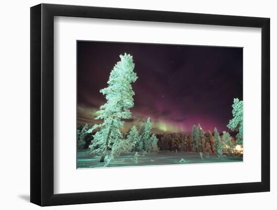 Scandinavia, Finland, Lapland, Kakslauttanen, The Aurora borealis-Daisy Gilardini-Framed Photographic Print