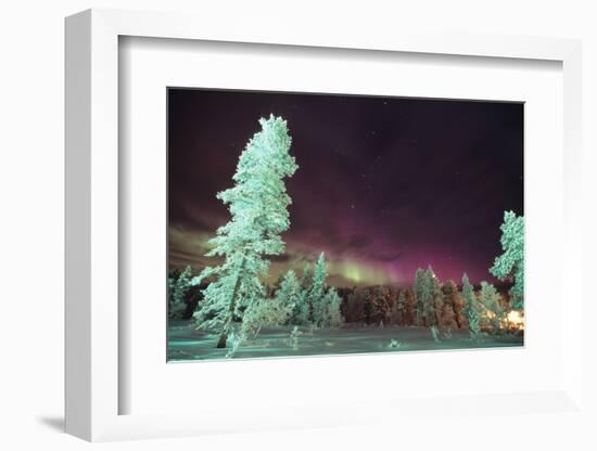 Scandinavia, Finland, Lapland, Kakslauttanen, The Aurora borealis-Daisy Gilardini-Framed Photographic Print