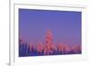 Scandinavia, Finland, Lapland, Saariselkä, Magical colours at sunset-Daisy Gilardini-Framed Photographic Print