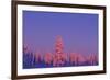 Scandinavia, Finland, Lapland, Saariselkä, Magical colours at sunset-Daisy Gilardini-Framed Photographic Print