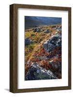 Scandinavia, Norway, Jotunheimen, National-Park, Mountains, Rocks, Nature-Rainer Mirau-Framed Photographic Print