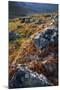 Scandinavia, Norway, Jotunheimen, National-Park, Mountains, Rocks, Nature-Rainer Mirau-Mounted Photographic Print