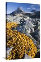 Scandinavia, Norway, Jotunheimen, National-Park, Rocks, Vegetation-Rainer Mirau-Stretched Canvas
