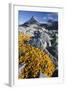 Scandinavia, Norway, Jotunheimen, National-Park, Rocks, Vegetation-Rainer Mirau-Framed Photographic Print