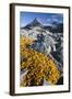 Scandinavia, Norway, Jotunheimen, National-Park, Rocks, Vegetation-Rainer Mirau-Framed Photographic Print