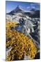 Scandinavia, Norway, Jotunheimen, National-Park, Rocks, Vegetation-Rainer Mirau-Mounted Photographic Print