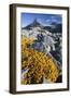 Scandinavia, Norway, Jotunheimen, National-Park, Rocks, Vegetation-Rainer Mirau-Framed Photographic Print