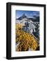 Scandinavia, Norway, Jotunheimen, National-Park, Rocks, Vegetation-Rainer Mirau-Framed Photographic Print