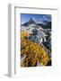 Scandinavia, Norway, Jotunheimen, National-Park, Rocks, Vegetation-Rainer Mirau-Framed Photographic Print