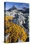 Scandinavia, Norway, Jotunheimen, National-Park, Rocks, Vegetation-Rainer Mirau-Stretched Canvas