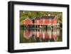 Scandinavia, Norway, Lofoten, Flakstadoey, Fisher-Alps, Shores-Rainer Mirau-Framed Photographic Print