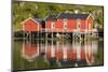 Scandinavia, Norway, Lofoten, Flakstadoey, Fisher-Alps, Shores-Rainer Mirau-Mounted Photographic Print