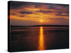 Scandinavia, Sea, Sunset-Thonig-Stretched Canvas