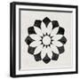 Scandinavian Black Flower II-Eline Isaksen-Framed Art Print