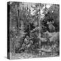 Scandinavian Hunter-Carl Larsen-Stretched Canvas