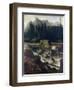 Scandinavian Landscape, 1670-Allaert Van Everdingen-Framed Giclee Print