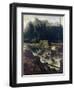 Scandinavian Landscape, 1670-Allaert Van Everdingen-Framed Giclee Print