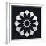 Scandinavian White Flower II-Eline Isaksen-Framed Art Print