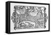 Scandinavian Witches Call up a Storm-Olaus Magnus-Framed Stretched Canvas