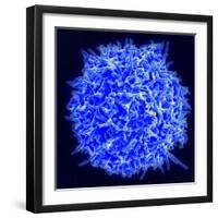 Scanning Electron Micrograph of a Human T Cell-Stocktrek Images-Framed Photographic Print