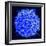 Scanning Electron Micrograph of a Human T Cell-Stocktrek Images-Framed Photographic Print