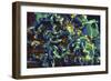 Scanning Electron Micrograph of Hiv Particles Infecting a Human T Cell-Stocktrek Images-Framed Photographic Print