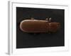 Scanning Electron Micrograph (Sem): Powderpost Beetle-null-Framed Photographic Print