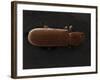 Scanning Electron Micrograph (Sem): Powderpost Beetle-null-Framed Photographic Print