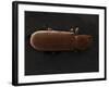 Scanning Electron Micrograph (Sem): Powderpost Beetle-null-Framed Photographic Print