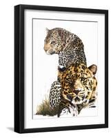 Scar Face-Barbara Keith-Framed Giclee Print