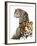 Scar Face-Barbara Keith-Framed Giclee Print