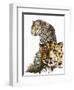 Scar Face-Barbara Keith-Framed Premium Giclee Print